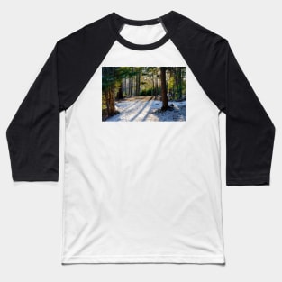 Hemlock Ravine Park 03 Baseball T-Shirt